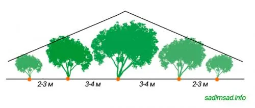 Плодовый сад с нуля. Схема сада плодовых деревьев