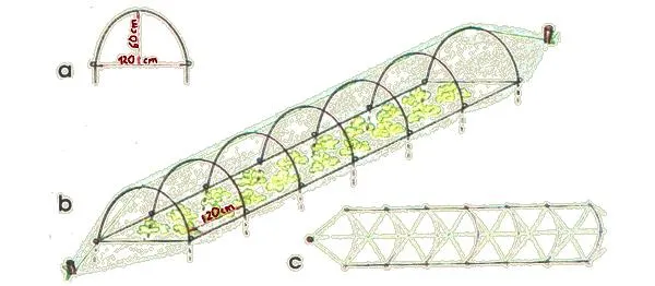 Конструкция низкого тоннеля из пленки: а – дуга для создания тоннеля; b – тоннель после прикрытия пленкой; c – способ крепления шнура в тоннеле