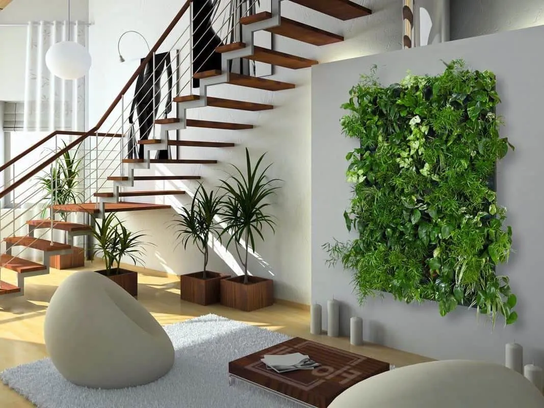 Растения – живой предмет декора, только они способны создать безмятежную атмосферу в любой комнате 